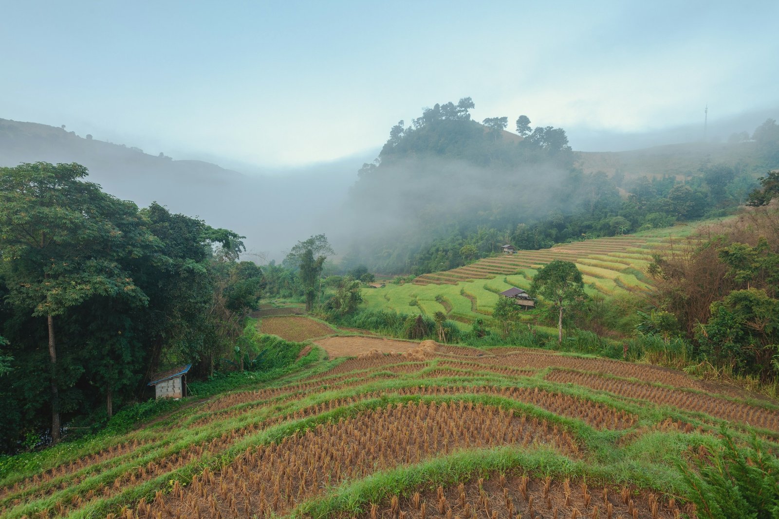 Thailand